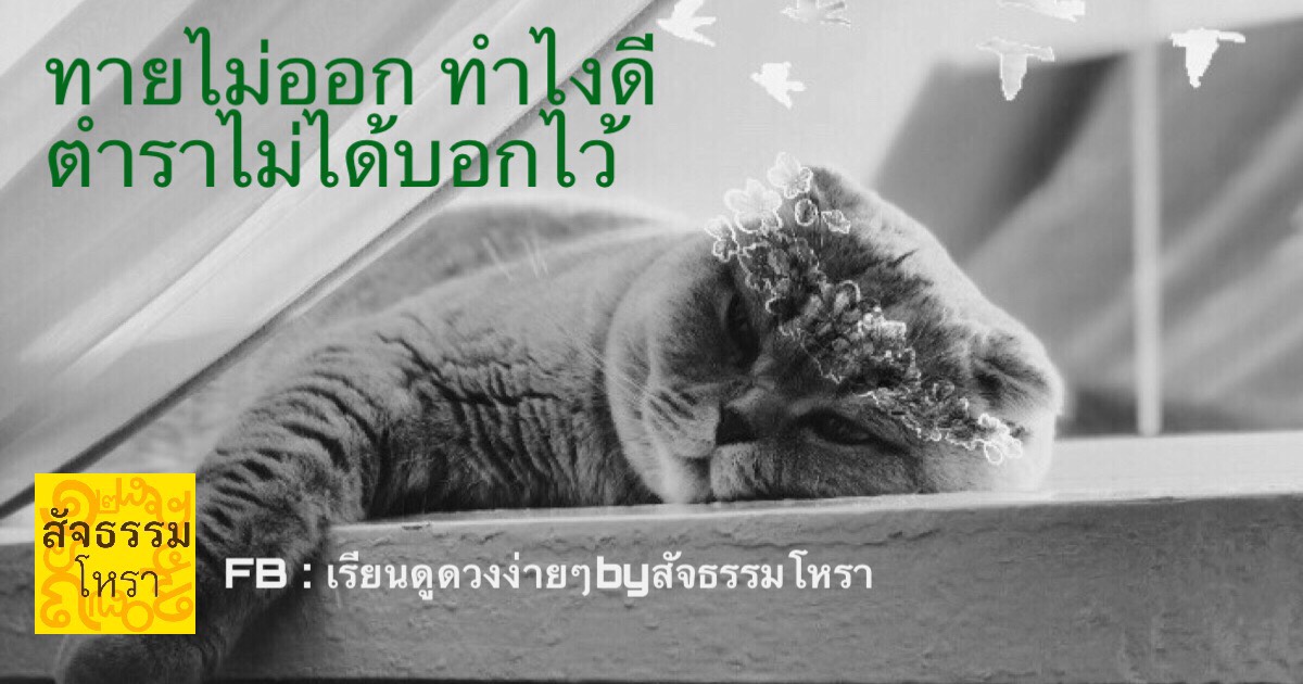 ทายไม่ออก